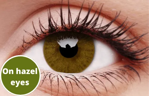 Basic Honey Coloured Contact Lenses