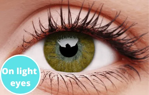 Basic Honey Coloured Contact Lenses