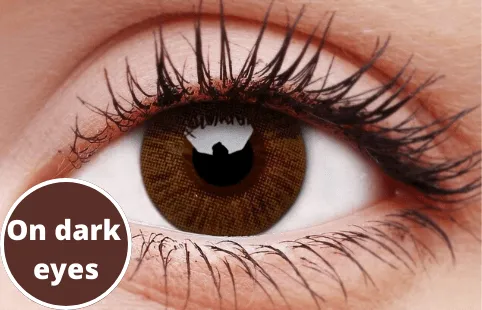 Basic Honey Coloured Contact Lenses