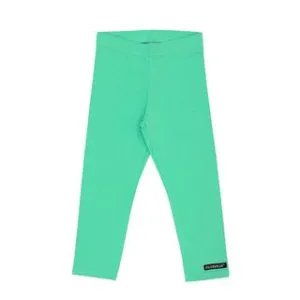 Basic Leggings in Cactus
