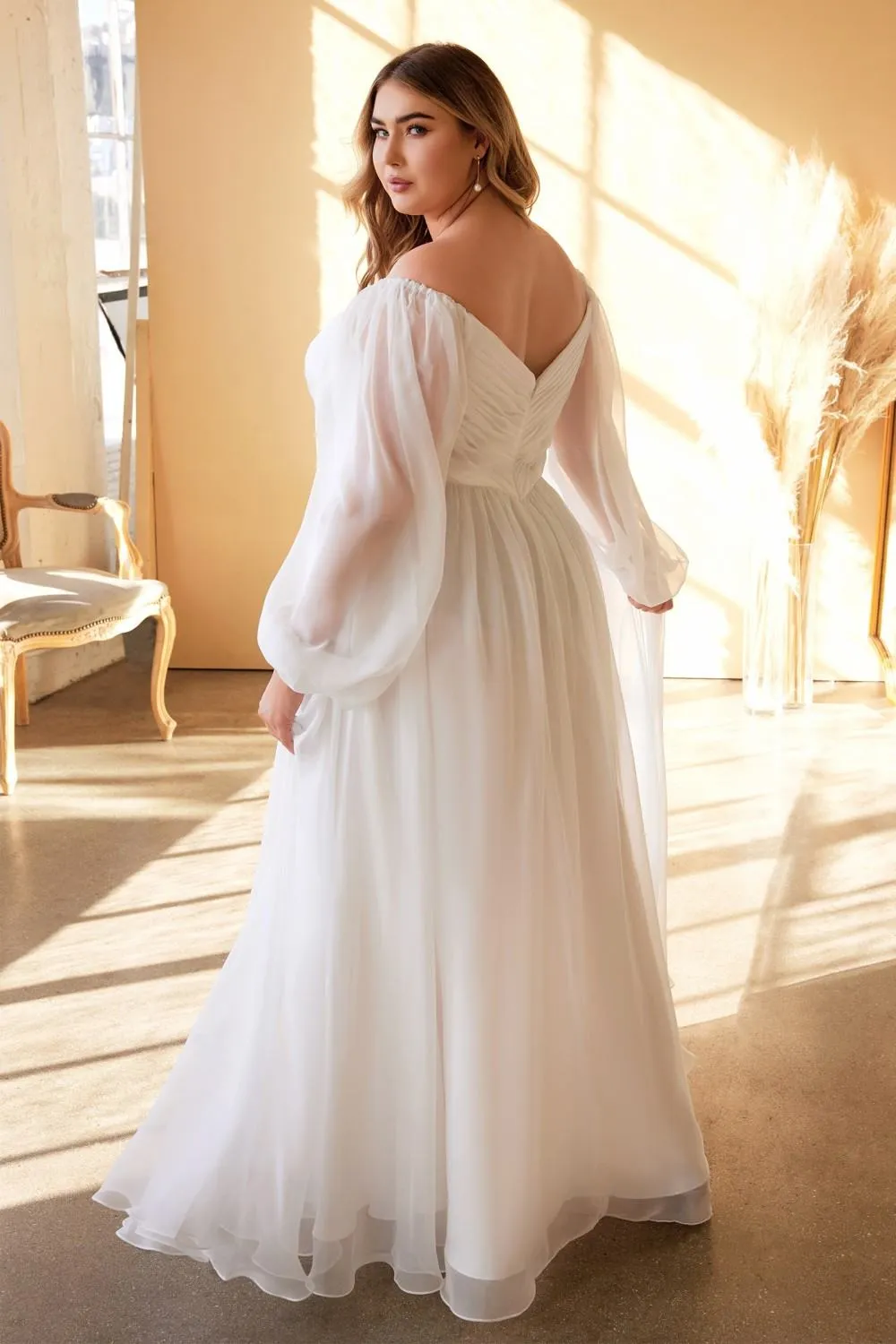 Cinderella Divine CD243W Sweetheart Sheer Sleeve Chiffon Dress