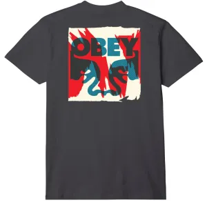 Obey torn posters icon