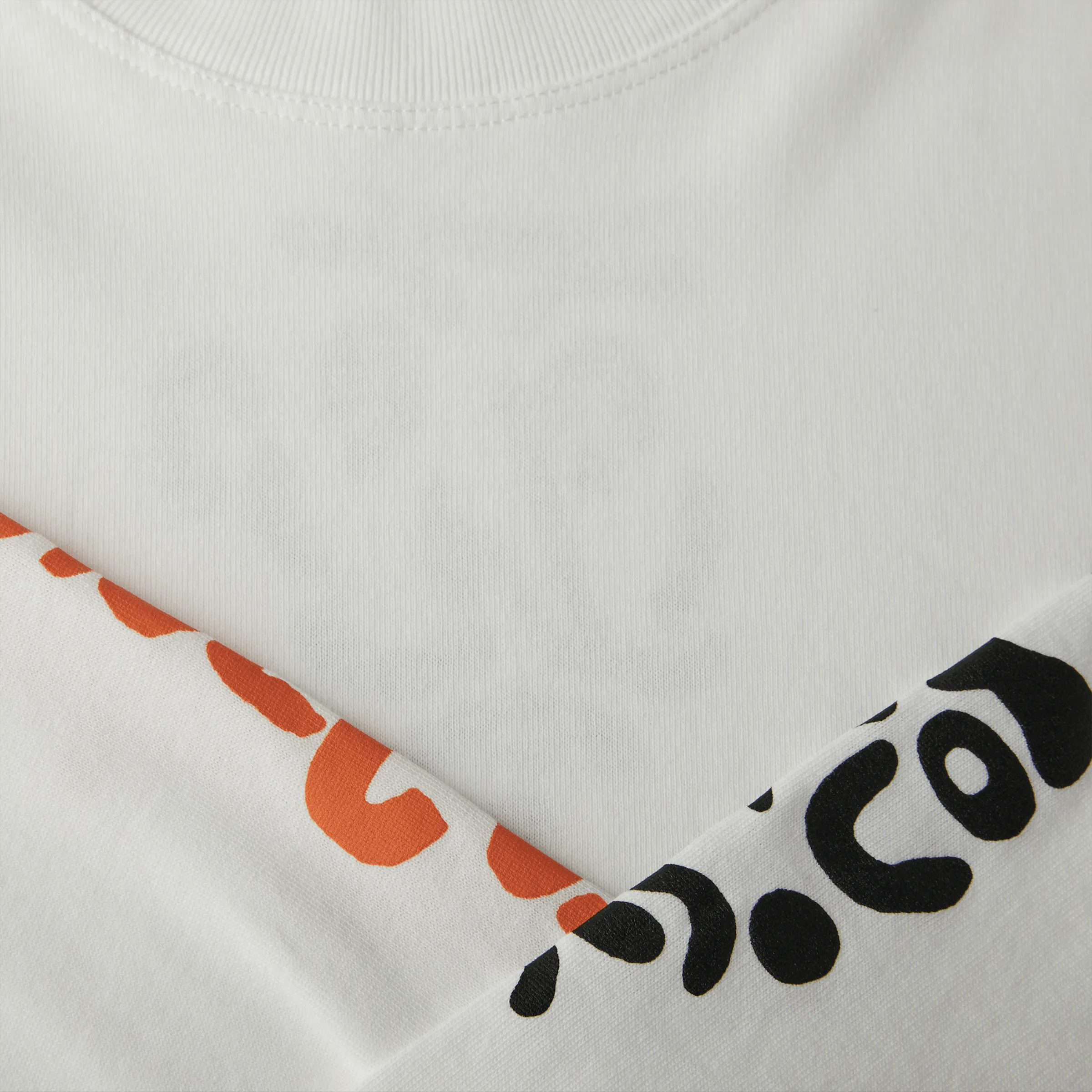 Polar Facescape Longsleeve White