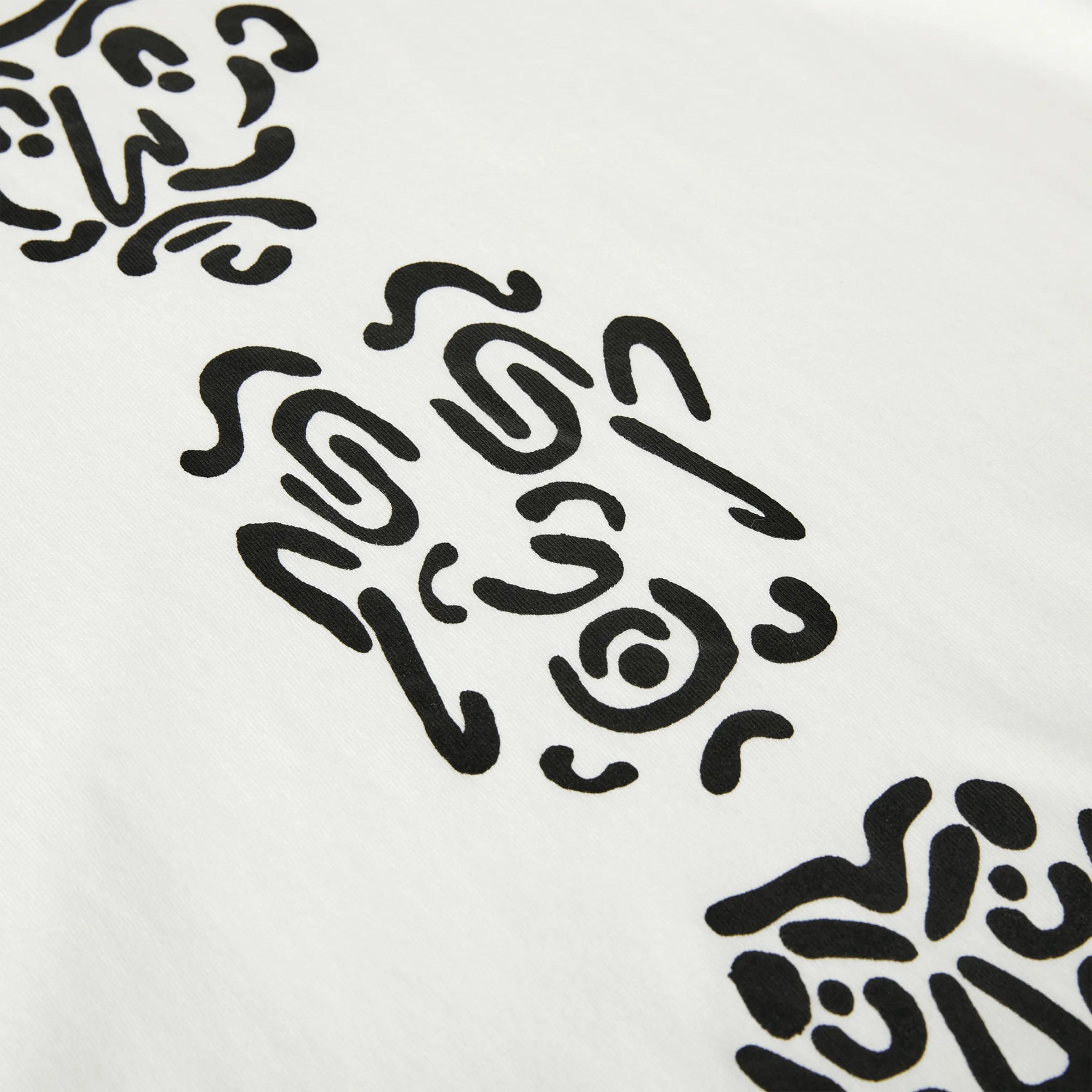 Polar Facescape Longsleeve White